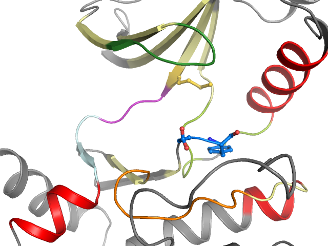 The orthosteric binding pocket