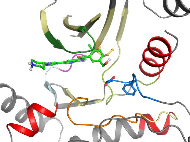The orthosteric binding pocket