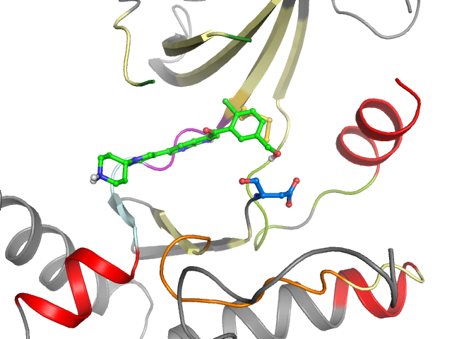 The orthosteric binding pocket
