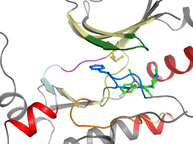 The orthosteric binding pocket