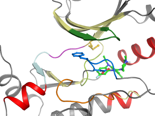The orthosteric binding pocket