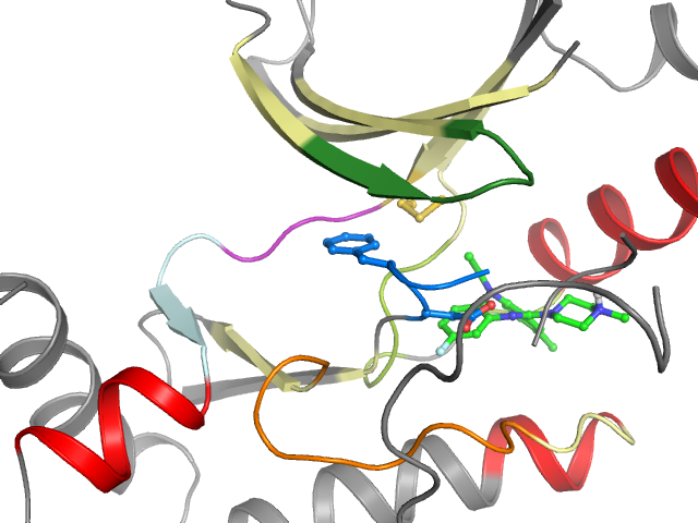 The orthosteric binding pocket