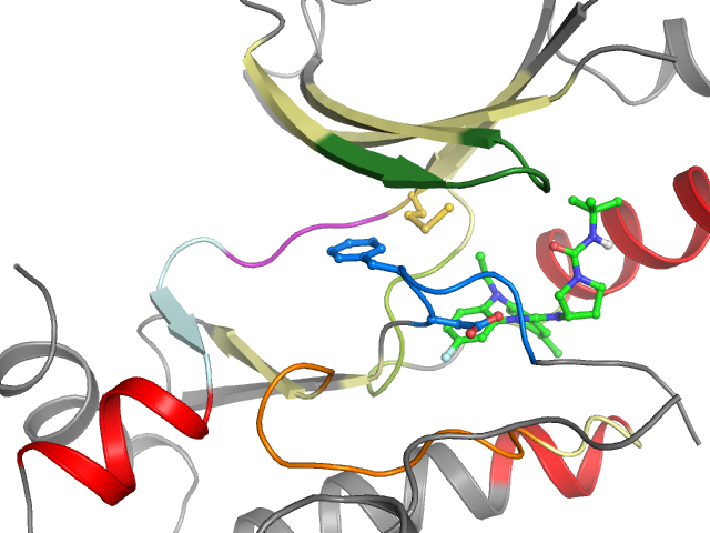 The orthosteric binding pocket