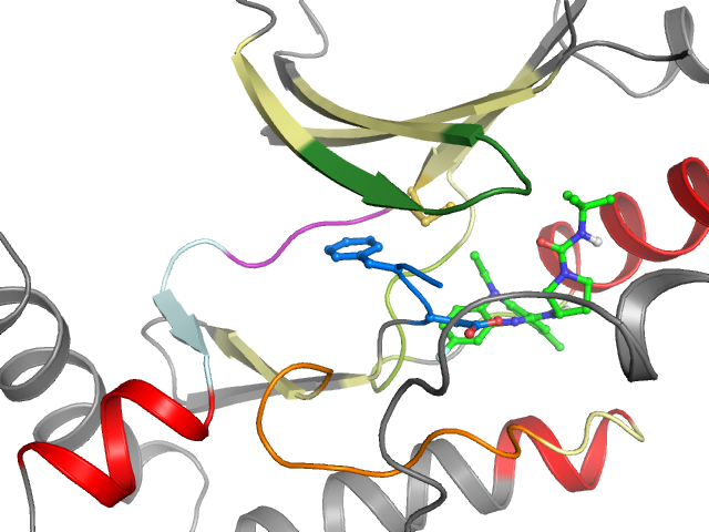 The orthosteric binding pocket
