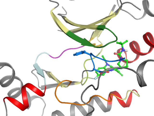 The orthosteric binding pocket