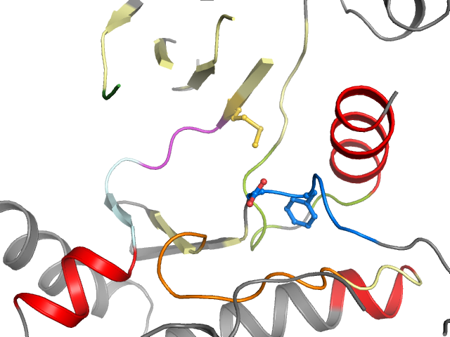The orthosteric binding pocket