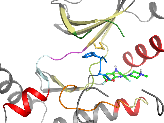 The orthosteric binding pocket