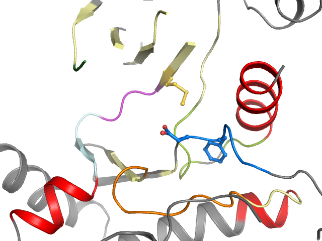 The orthosteric binding pocket