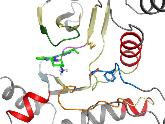 The orthosteric binding pocket
