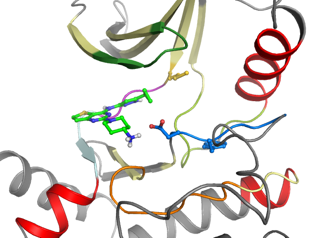 The orthosteric binding pocket
