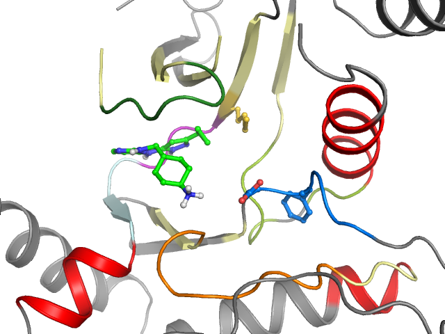 The orthosteric binding pocket