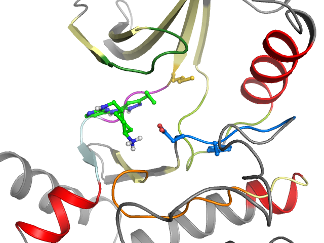 The orthosteric binding pocket