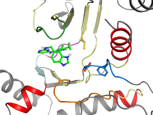 The orthosteric binding pocket