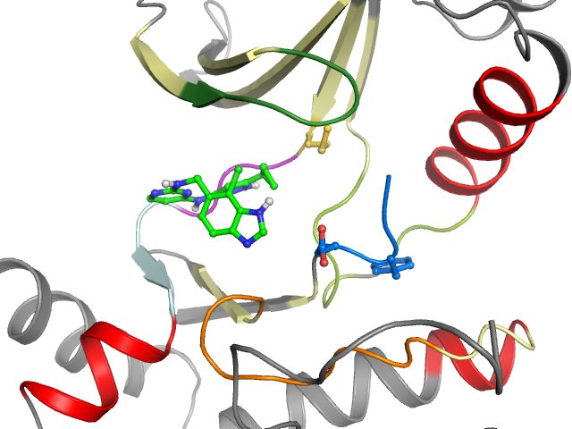 The orthosteric binding pocket