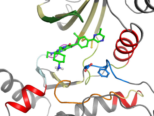 The orthosteric binding pocket