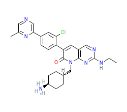 2D structure of the orthosteric ligand