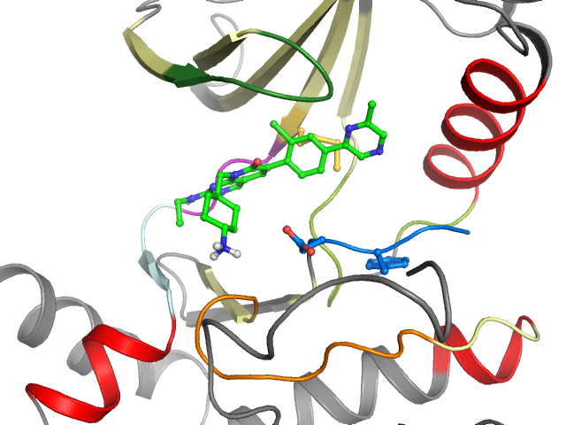 The orthosteric binding pocket