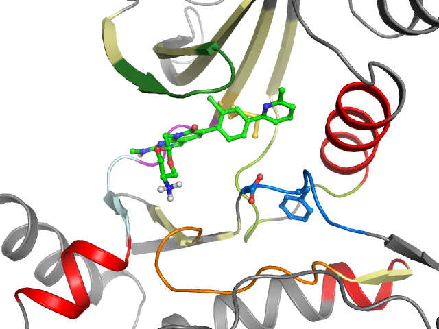 The orthosteric binding pocket