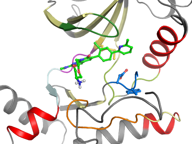 The orthosteric binding pocket