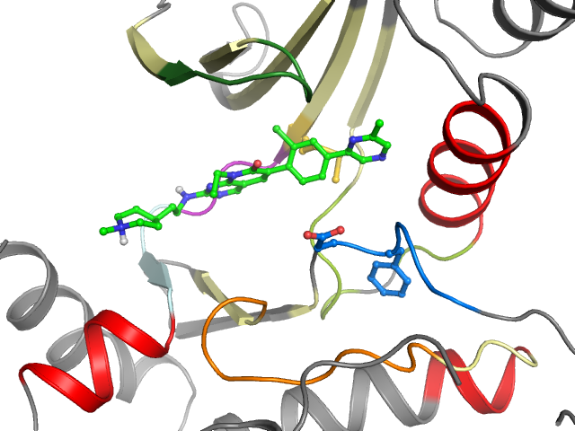 The orthosteric binding pocket