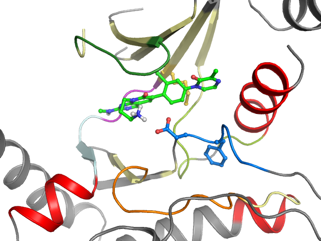 The orthosteric binding pocket