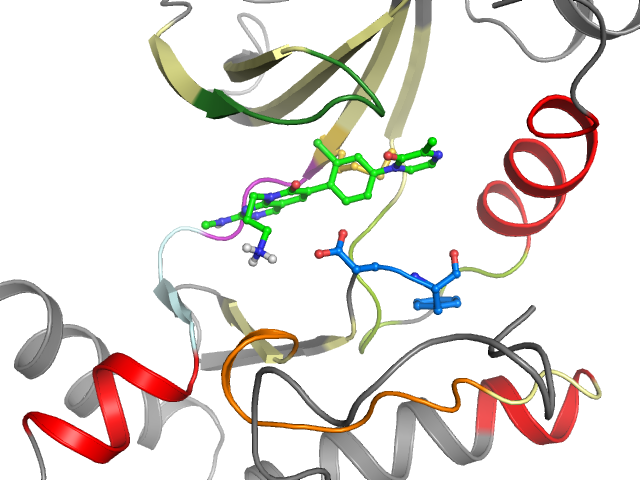 The orthosteric binding pocket