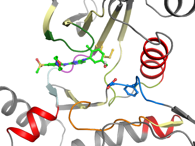 The orthosteric binding pocket