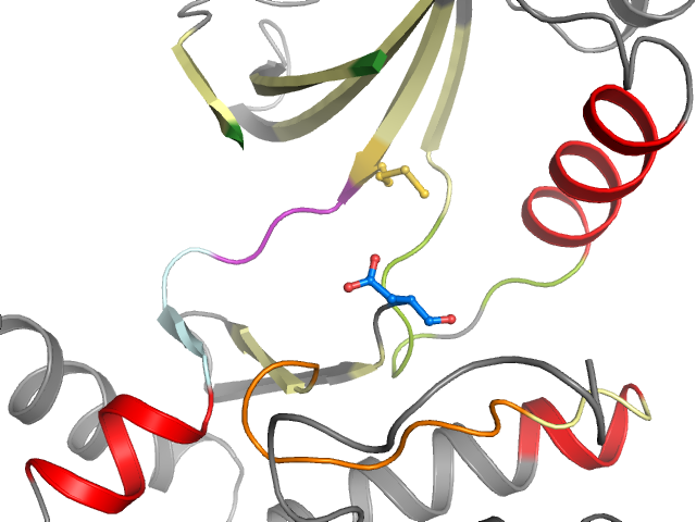 The orthosteric binding pocket