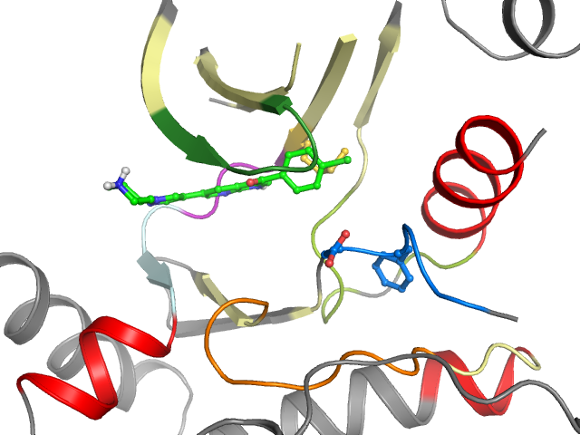 The orthosteric binding pocket