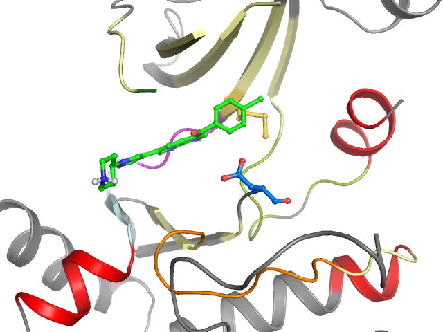 The orthosteric binding pocket