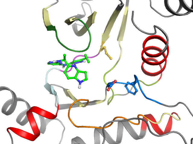 The orthosteric binding pocket