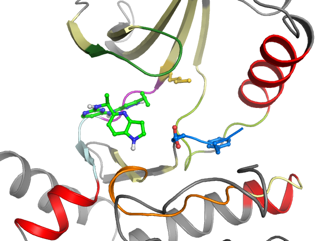 The orthosteric binding pocket
