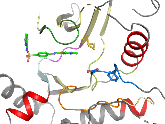 The orthosteric binding pocket