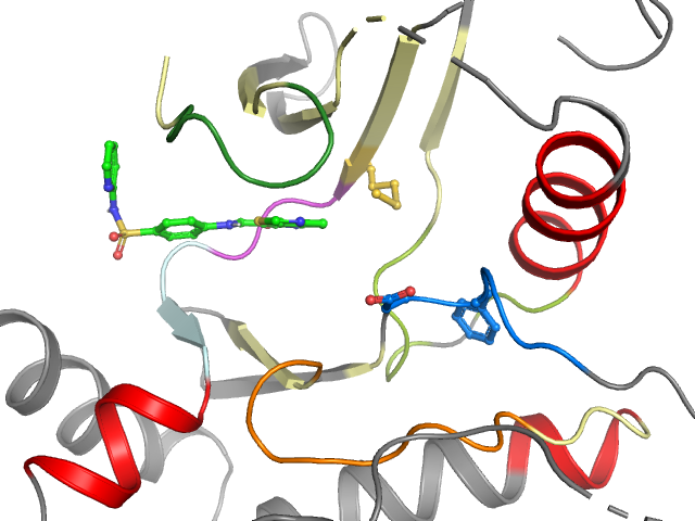 The orthosteric binding pocket