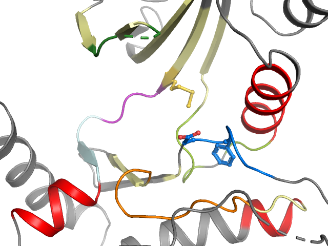 The orthosteric binding pocket