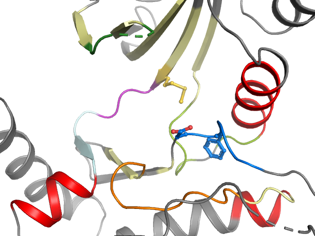 The orthosteric binding pocket