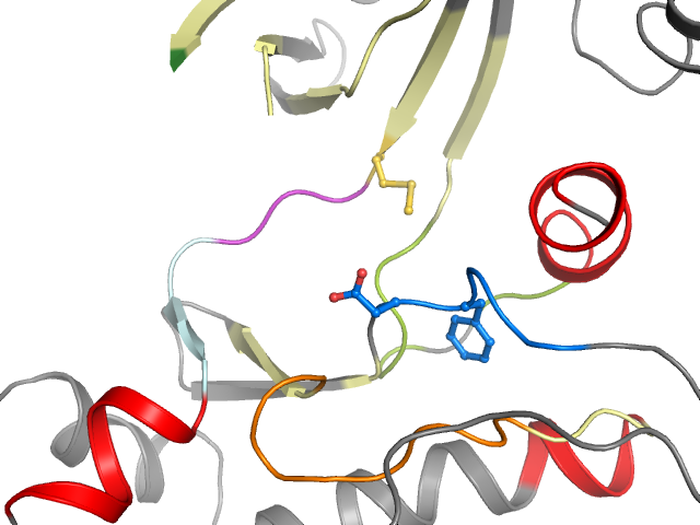 The orthosteric binding pocket