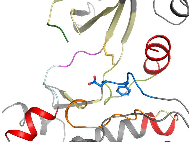 The orthosteric binding pocket