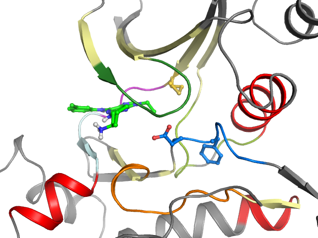 The orthosteric binding pocket