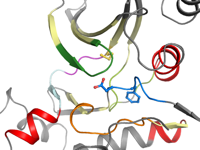 The orthosteric binding pocket