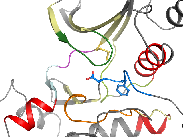 The orthosteric binding pocket