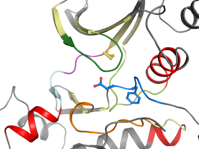 The orthosteric binding pocket