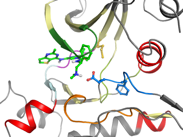 The orthosteric binding pocket