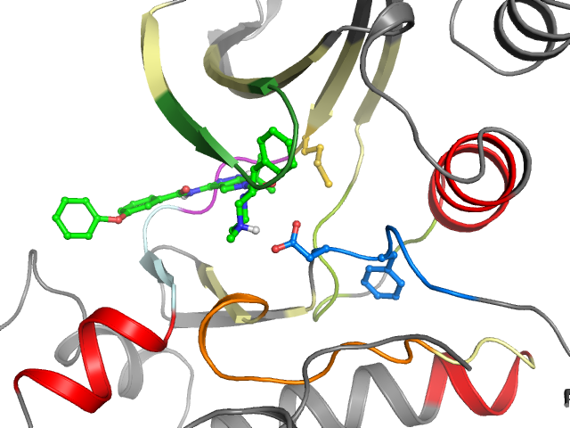 The orthosteric binding pocket