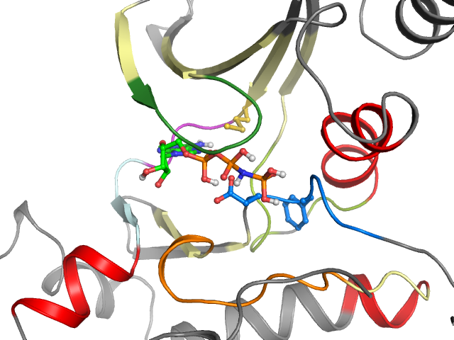 The orthosteric binding pocket