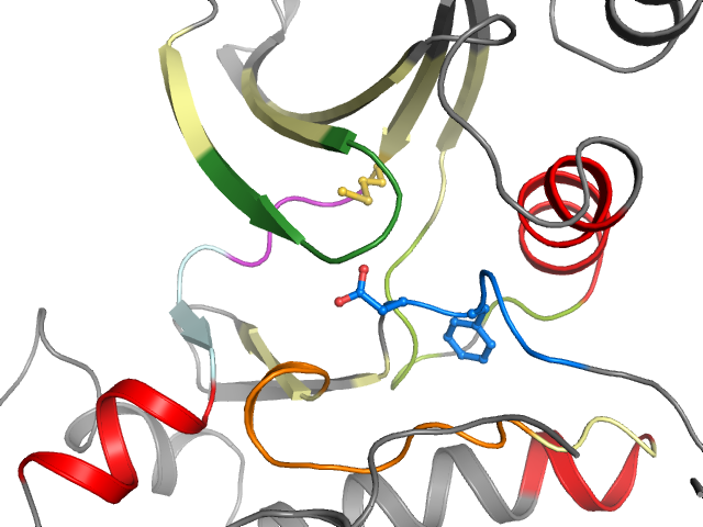 The orthosteric binding pocket