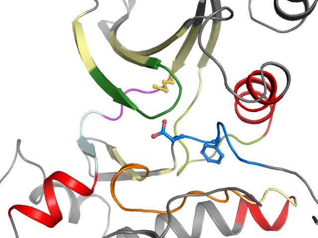 The orthosteric binding pocket