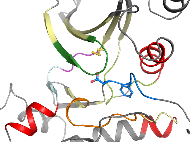 The orthosteric binding pocket
