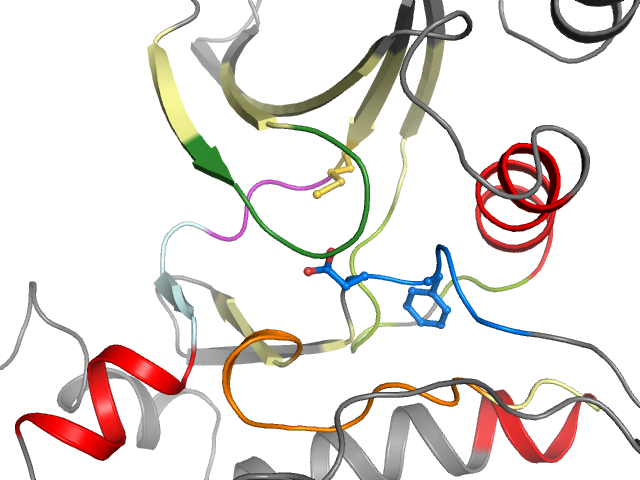 The orthosteric binding pocket