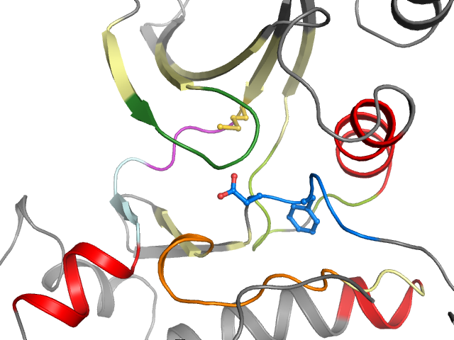 The orthosteric binding pocket